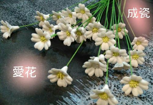 曾美蘭 老師