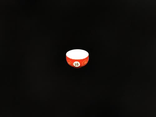 0309P