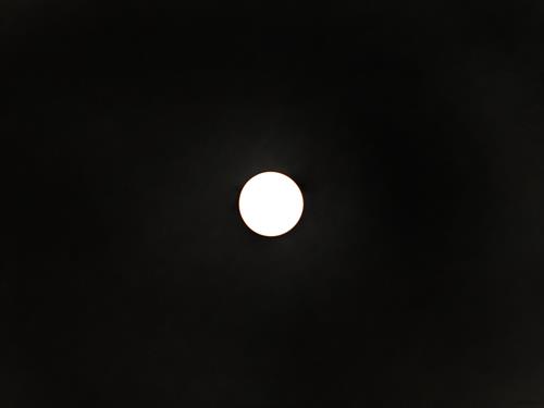0309P