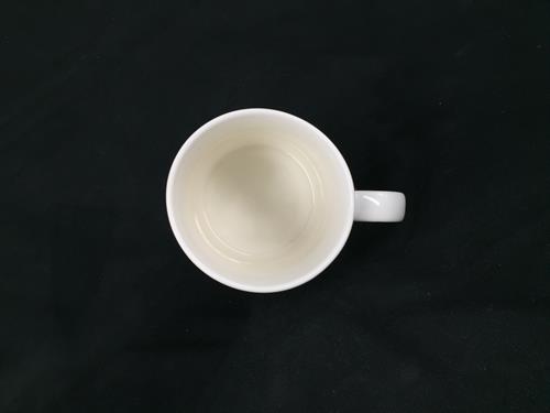 CZE0006