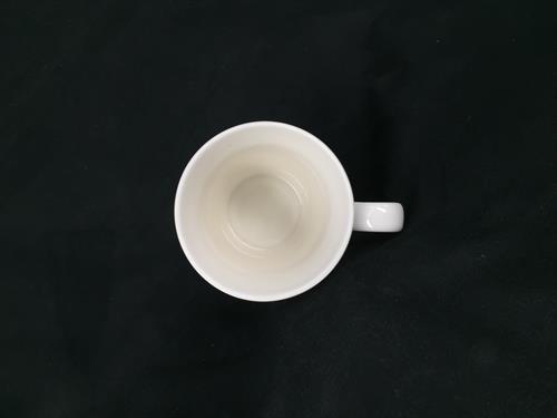 CZE0009