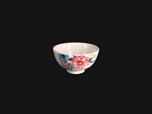 CZN0015(N89-603)