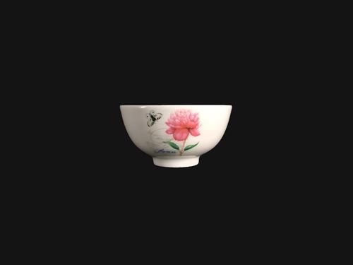 CZN0017(N89-605)