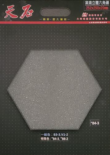 G6252920