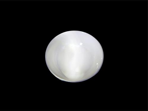 P03H54-BL