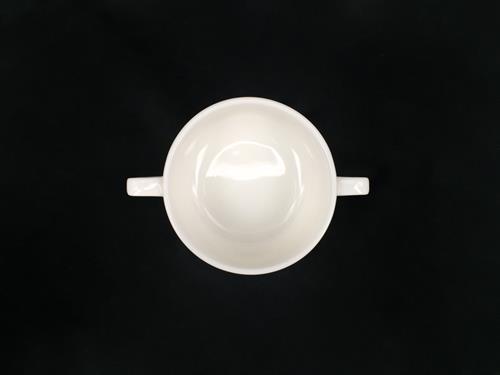 P0490C-S001