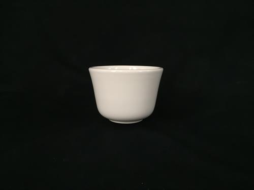 P1229P