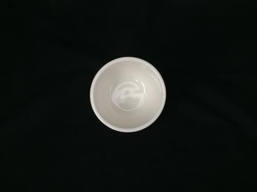 P1239P