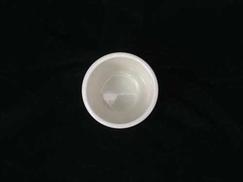 P1249P