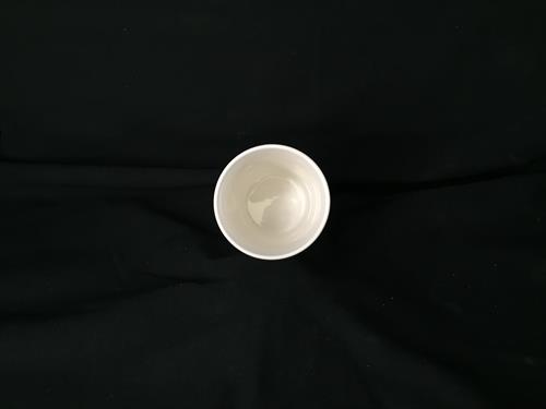P4849P