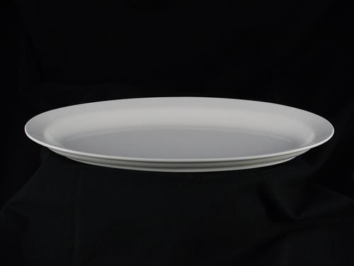 P55H113