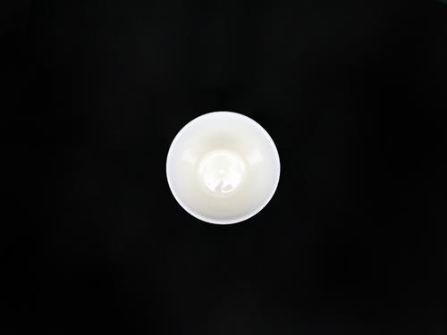 P61149P