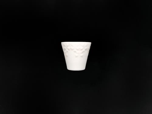 P61249P