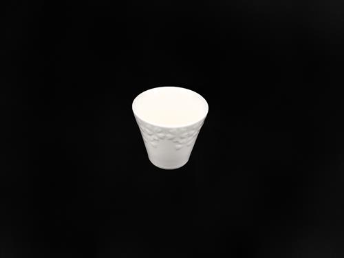 P61249P