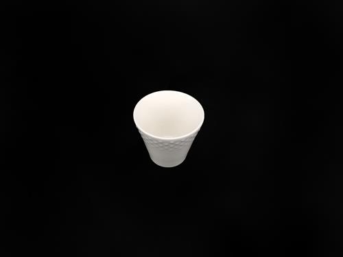 P61349P