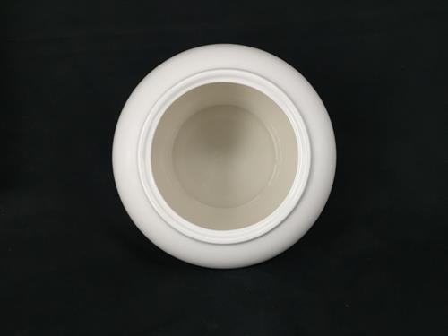 PF309P
